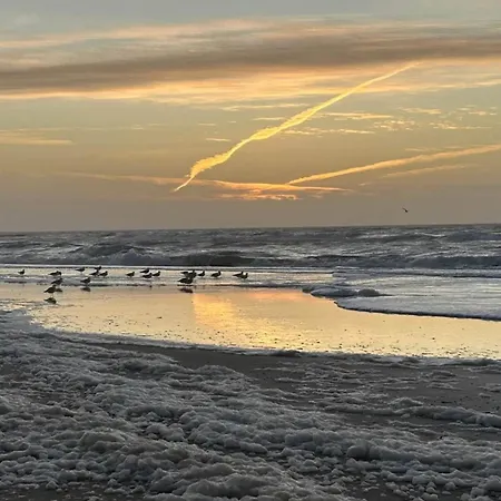 בית נופש 5 Star In Henne-by Traum *